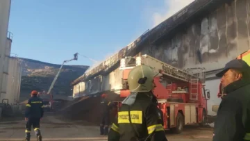 vipe_volou_apothikes_fotia