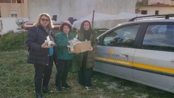 dimos_skopelou_voitheia_sto_spiti