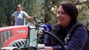 agrotisa-lesvos-thalasselli