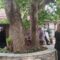panagia_papariga_portaria