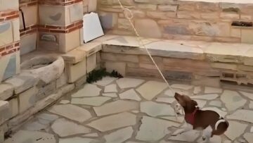 kriti-skylos-xtypa-kampana