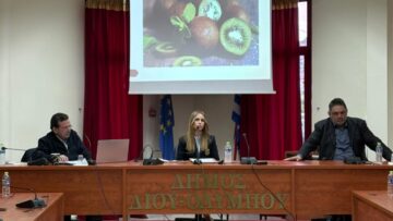 aktinidia_pieria_imerida