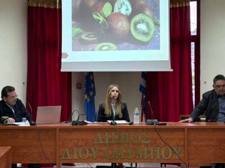 aktinidia_pieria_imerida