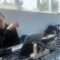 hlias_alonissos_volley