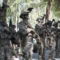 turkey_commandos