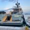 Aurelia_4