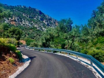lechouni_asfaltostrosi_skiathos
