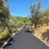 leivadakia_skiathos_4
