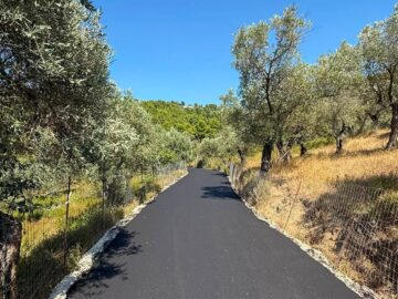 leivadakia_skiathos_4