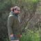 lorenjo_cariere