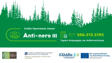 anti-nero