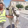 methysmenos_alogo_andros