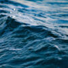 thalassa