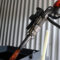 petrelaio_thermansis