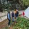 katharismoi_rematon_skiathos-2