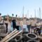 plastic_free_greece_skiathos